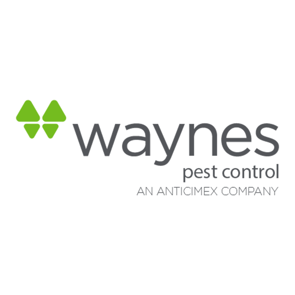 Wayne's Pest Control